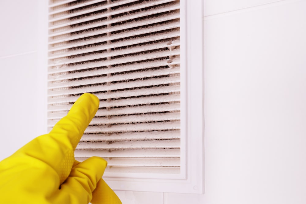 Clean Air Filters Before Vacation