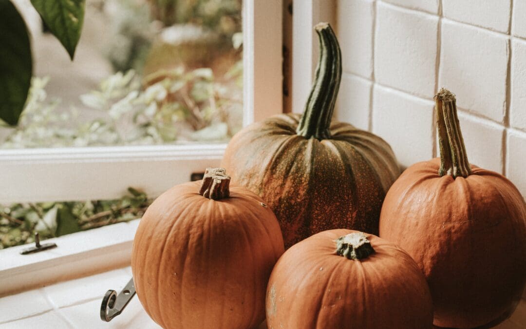 Don’t Get Caught in the Cold: Furnace Maintenance Tips for Fall in Chandler, AZ