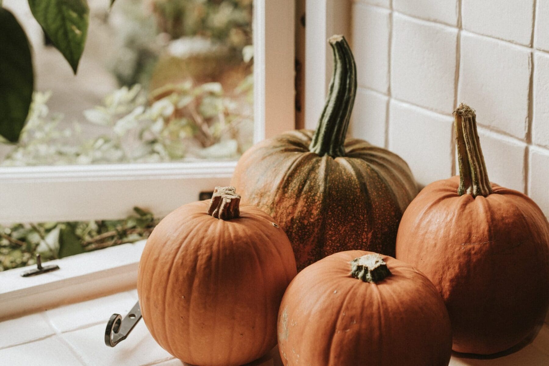 Don’t Get Caught in the Cold: Furnace Maintenance Tips for Fall in Chandler, AZ